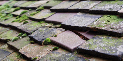 Trostre roof repair costs